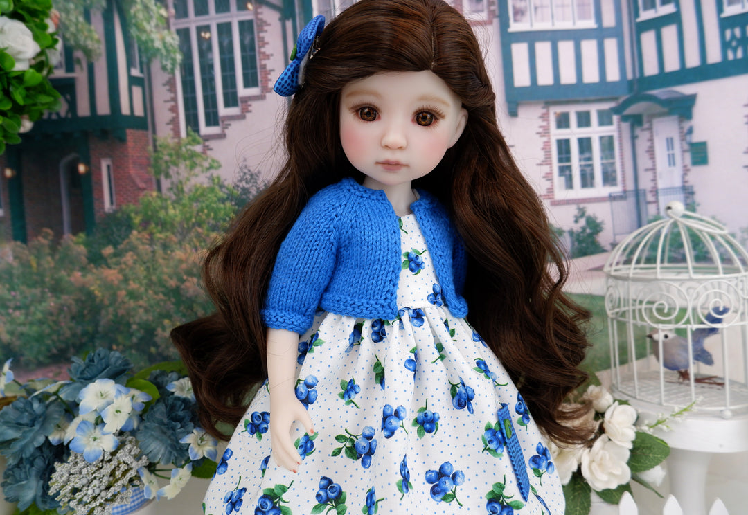 Blueberry Hill - dress with sweater & saddle shoes for Ruby Red Fashion Friends doll