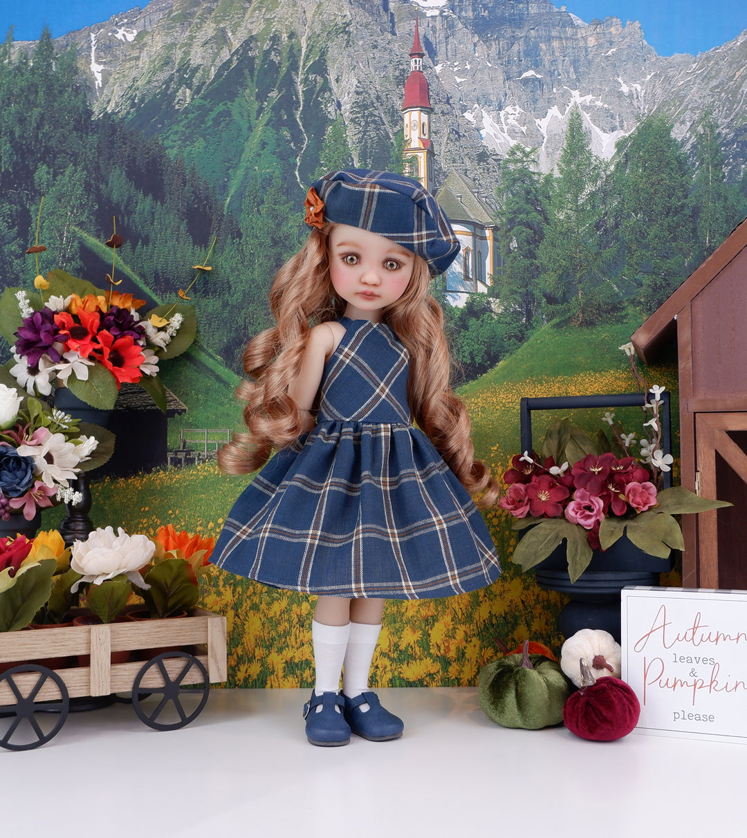 European Plaid - dress with shoes for Ruby Red Fashion Friends doll