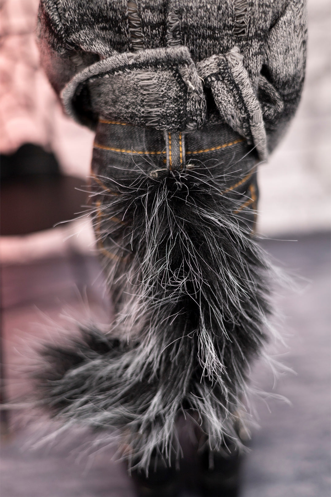 PREORDER 2025 Kaiden - Fashion Friends Limited Edition doll