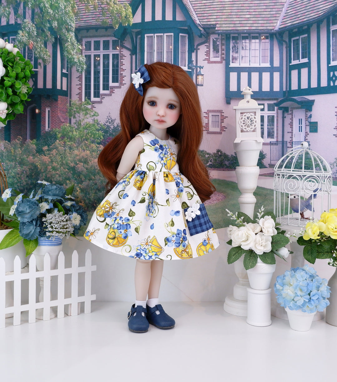 Sweet & Tart - dress with shoes for Ruby Red Fashion Friends doll