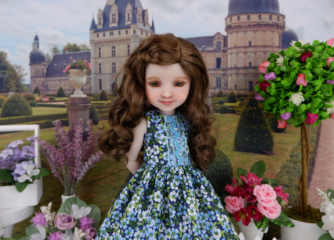 Field of Blue - dress with shoes for Ruby Red Fashion Friends doll