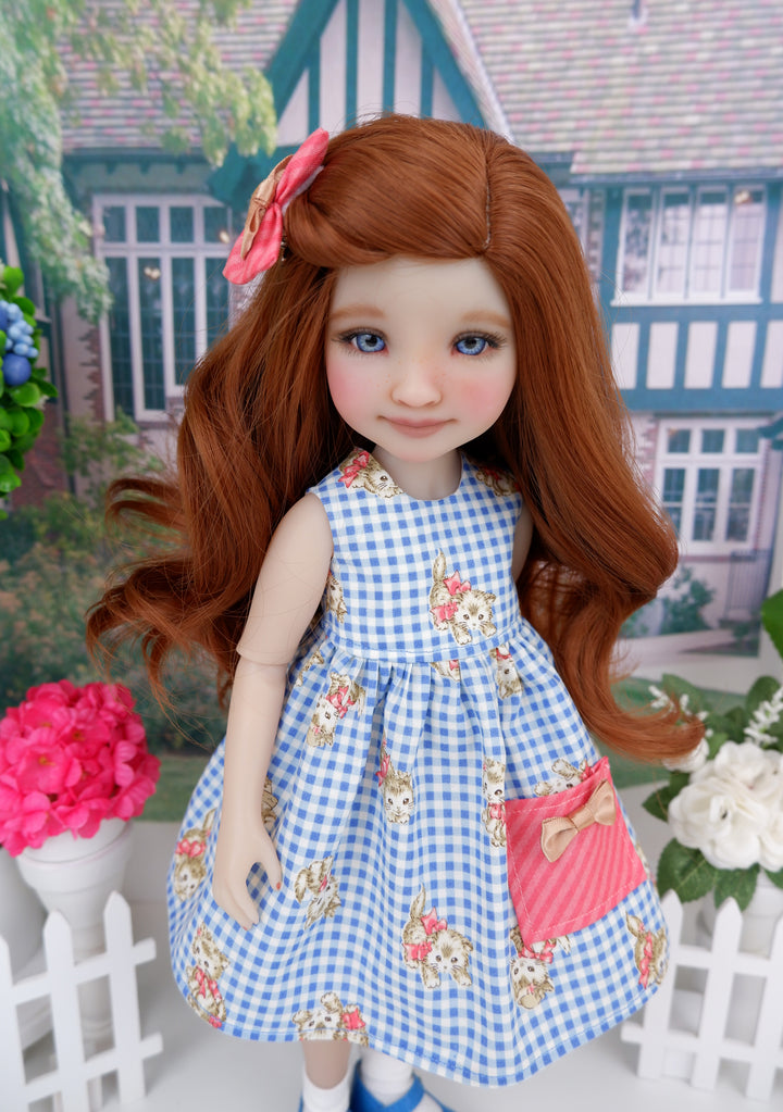 Gingham Kitty - dress with shoes for Ruby Red Fashion Friends doll