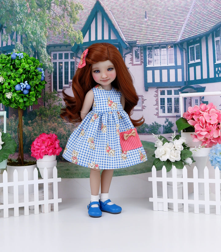 Gingham Kitty - dress with shoes for Ruby Red Fashion Friends doll