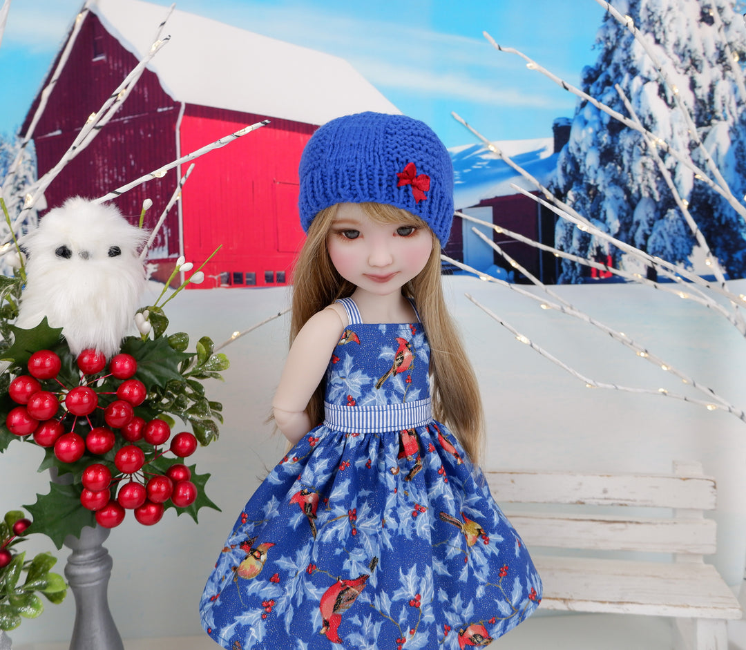 Winter Cardinals - dress and sweater set with shoes for Ruby Red Fashion Friends doll